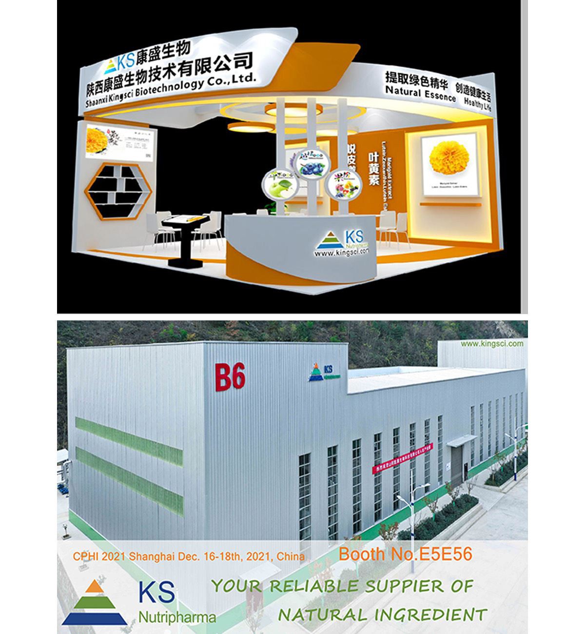 cphi 2021 KingSci