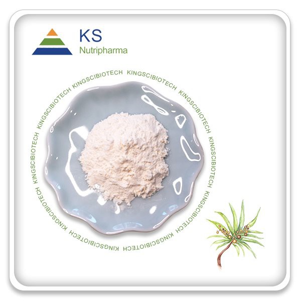 Wholesale Saw Palmetto ekstrè