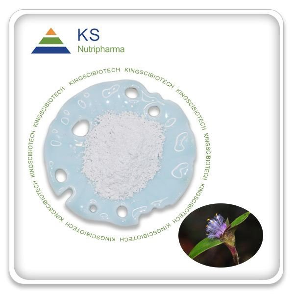 Beta Ecdysterone Powder