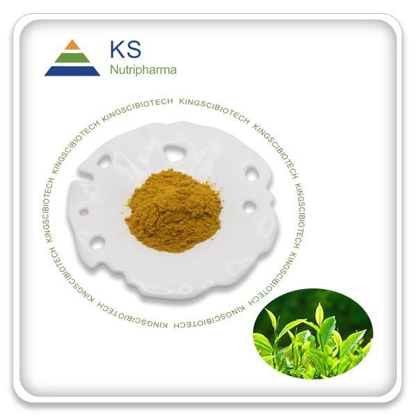 Green Tea Extrait Powder