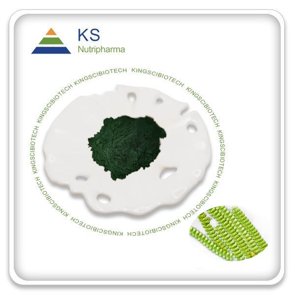 Spirulina poud