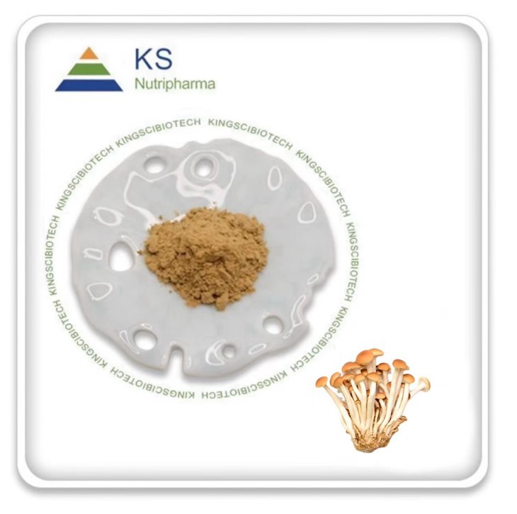 Ekstrè Agrocybe Aegerita