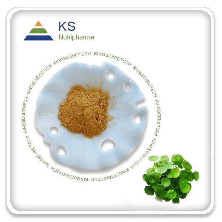 Centella Asiatica Powder