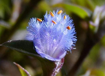 news-489-353 news-489-353