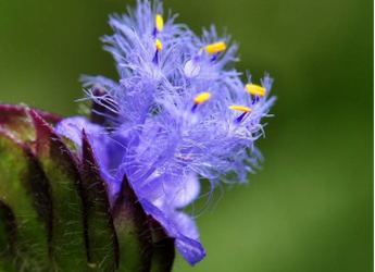 news-317-230 news-317-230