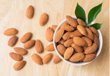 news-338-235 news-338-235