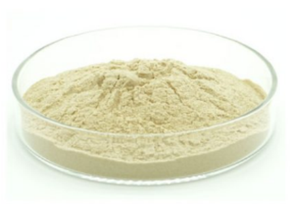 news-284-201 news-284-201