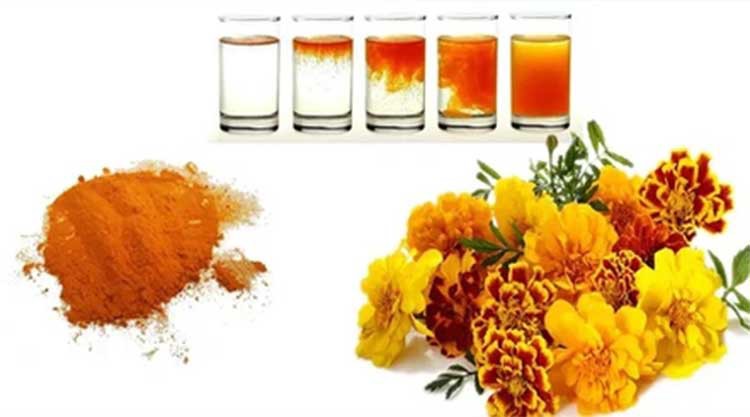 water-dispersible zeaxanthin water-dispersible zeaxanthin