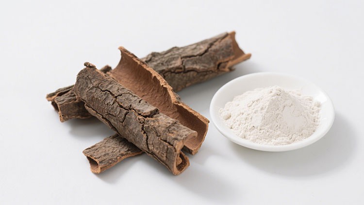 Magnolia-Officinalis-Bark-Extract Magnolia-Officinalis-Bark-Extract