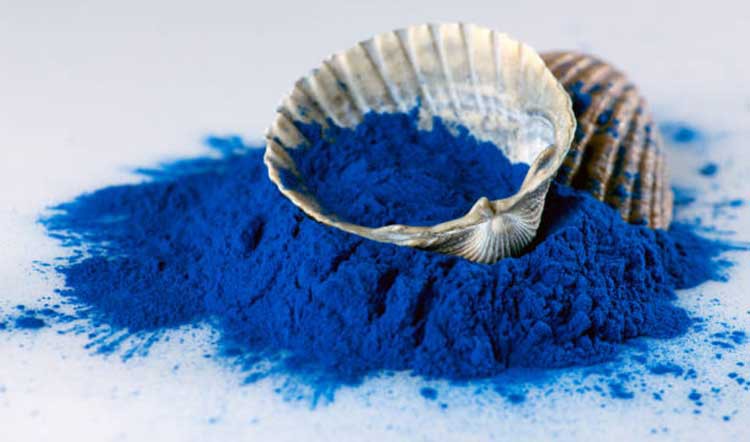 Organic-Phycocyanin-Powder Organic-Phycocyanin-Powder