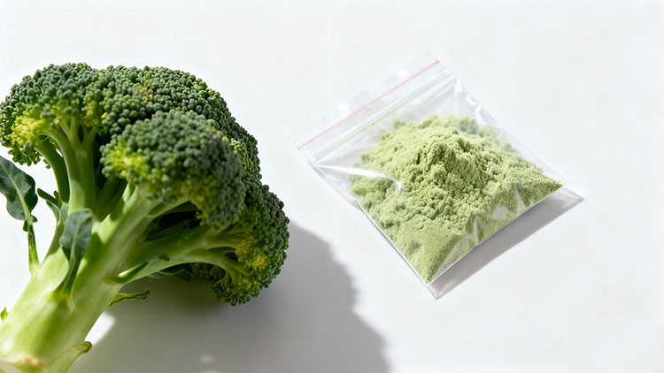 Broccoli-Extract-Powder Broccoli-Extract-Powder