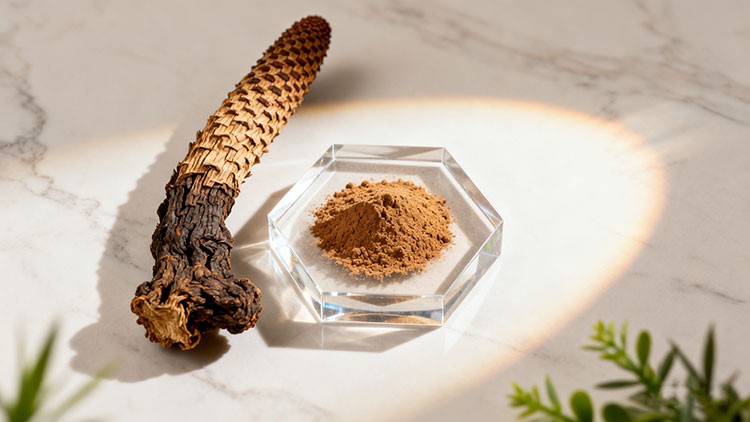 Cistanche-Tubulosa-Extract Cistanche-Tubulosa-Extract