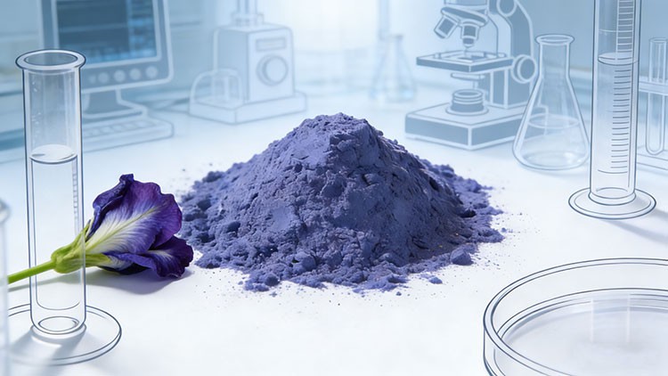 Blue-Pea-Flower-Extract-Safety Blue-Pea-Flower-Extract-Safety
