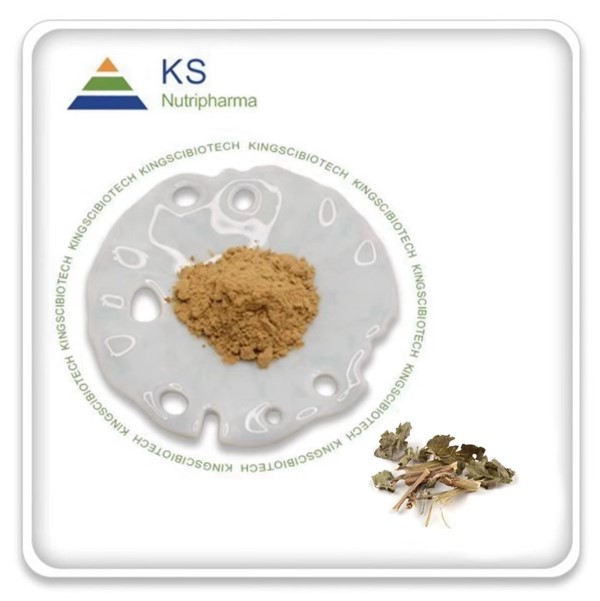 Agastache Rugosa Powder