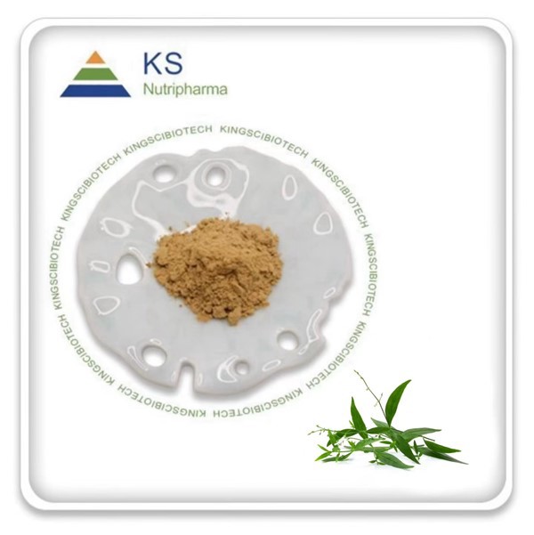 Andrographis paniculata poud