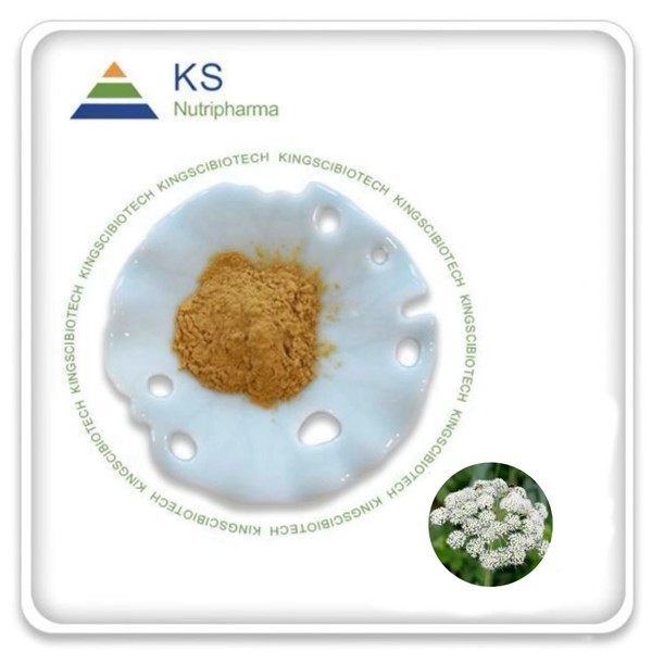 Angelica Dahurica ekstrè