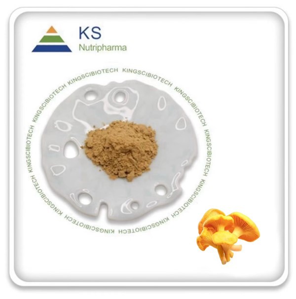 Cantharellus Cibarius ekstrè