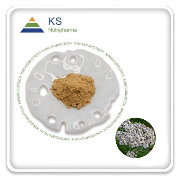 Lachin Achillea Millefolium Powder