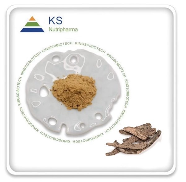 Ekstrè Dipsacus Asper