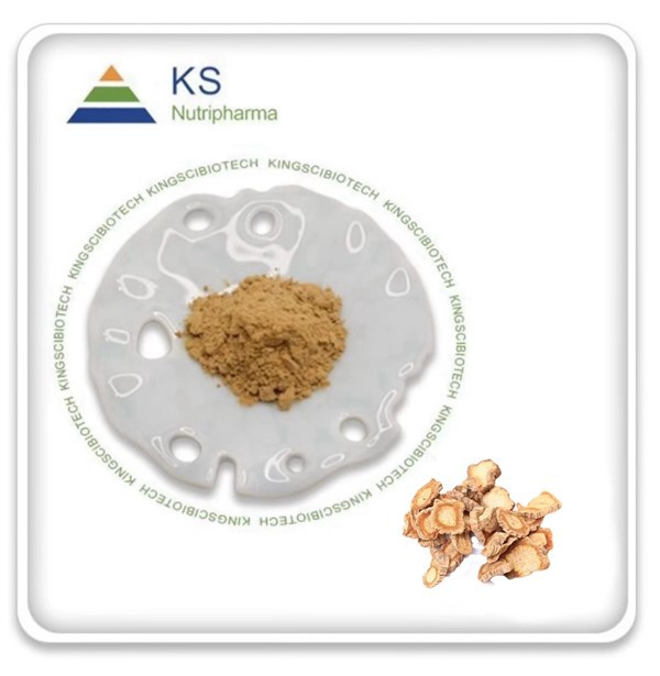 Ekstrè Saposhnikovia