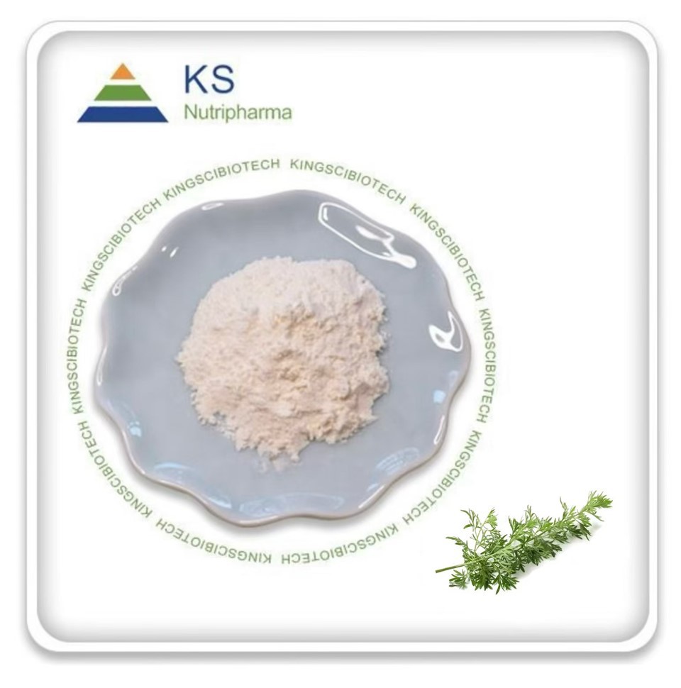 Sweet Wormwood Extrait